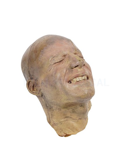 Fake Head 